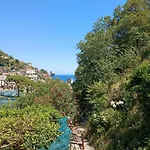 Mare E Limoni