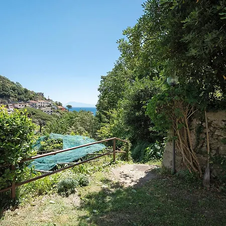 Mare E Limoni Erchie (Campania)