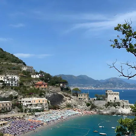 Mare E Limoni Erchie (Campania)