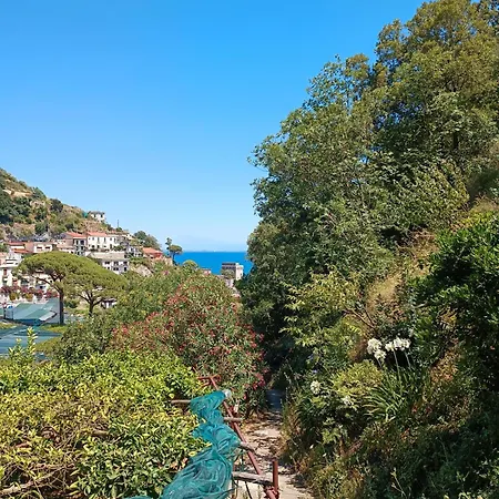 Mare E Limoni Erchie (Campania)